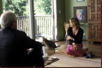 broken_flowers_bill_murray_jessica_lange broken_flowers_bill_murray_jessica_lange