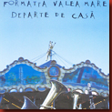 formata_valea_mare_cover formata_valea_mare_cover