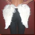 rent_an_angel2 rent_an_angel2