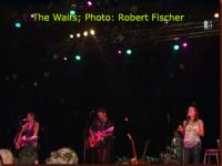 waifs